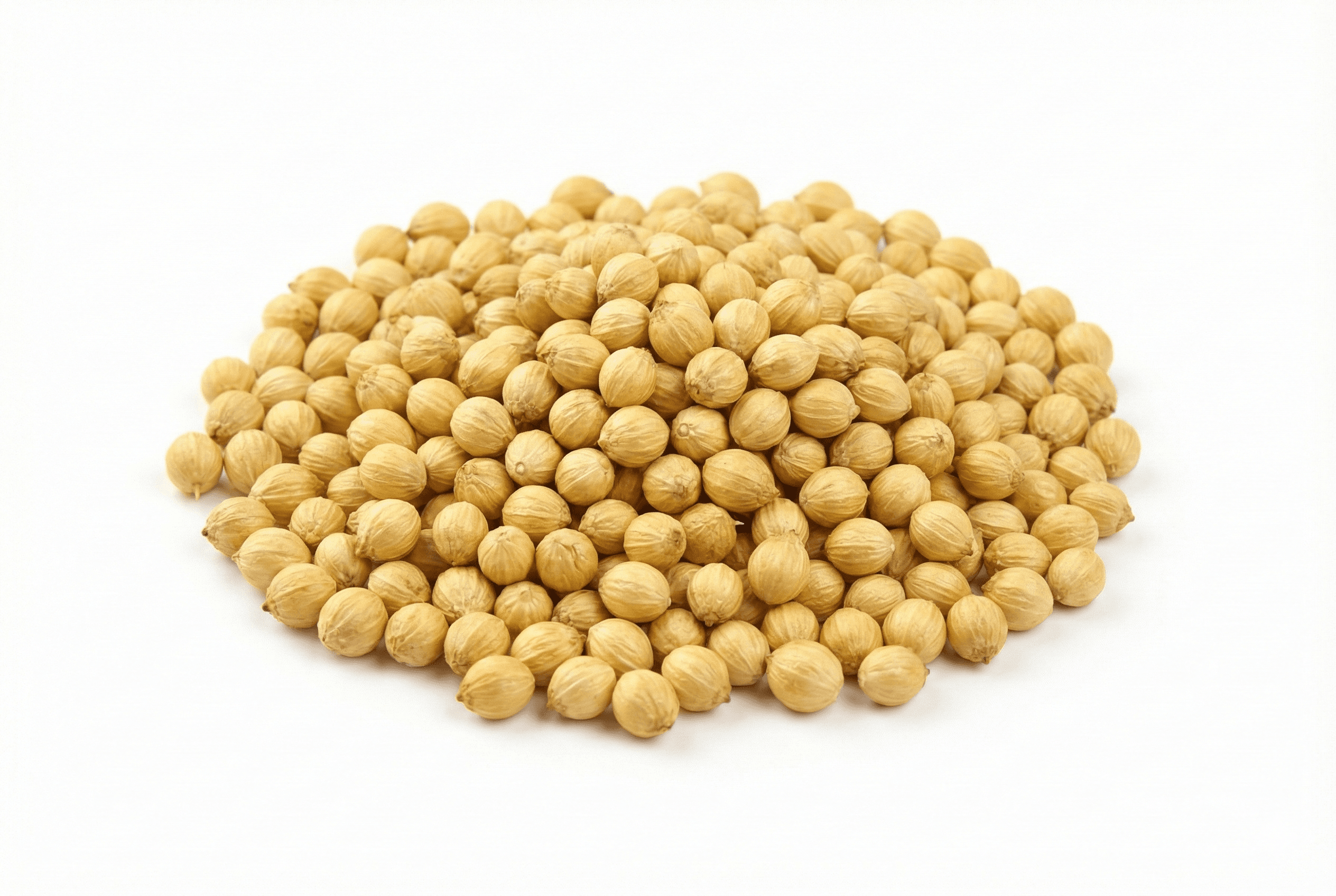 Coriander Seeds - Indian Spices Export | VB Exports